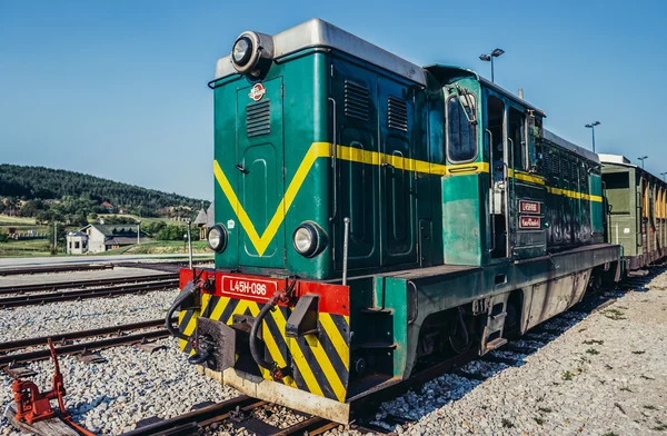 Sargán Ocho galgas estrechas — Foto de Stock