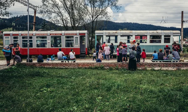 Caminho de ferro de bitola estreita — Fotografia de Stock