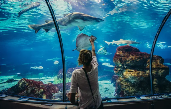 Aquarium in Barcelona — Stockfoto