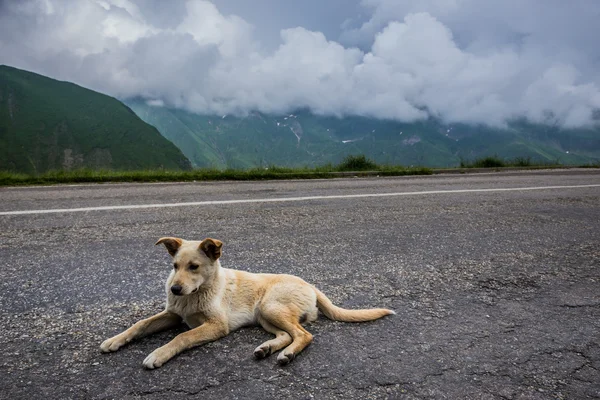 Transfagarasan Highway i Rumänien — Stockfoto