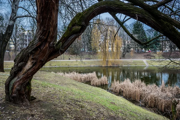 Park w Warszawie — Zdjęcie stockowe