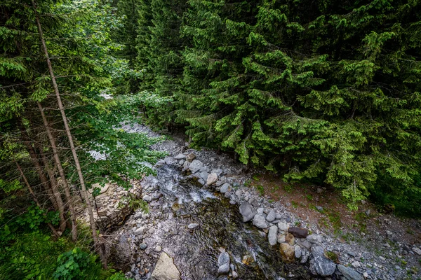 Beek in Roemenië — Stockfoto