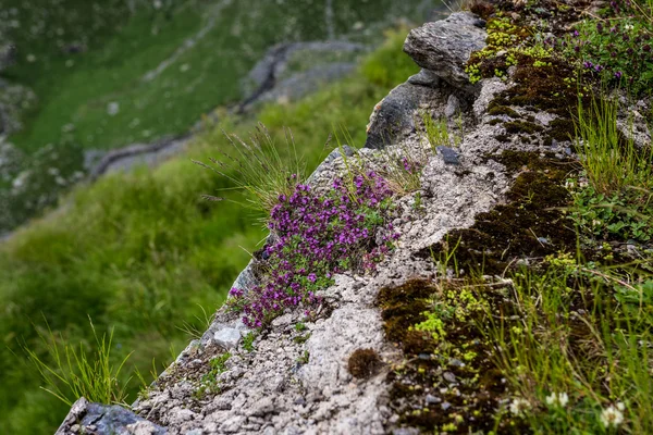 Transfagarasan Highway in Rumänien — Stockfoto