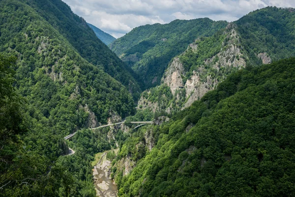 Uitzicht vanaf Poenari kasteel — Stockfoto