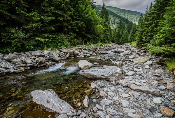 Brook en Rumania — Foto de Stock