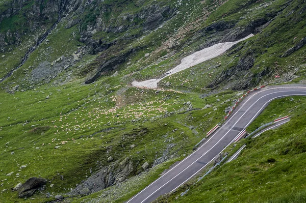 Transfagarasan snelweg in Roemenië — Stockfoto