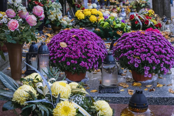 Chrysanthemum Candles Grave Wolski Cemetery Just All Saints Day Warsaw — Stock Photo, Image
