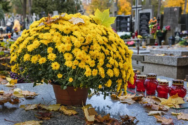 Flores Amarelas Umas Sepulturas Cemitério Wolski Pouco Antes Dia Todos — Fotografia de Stock