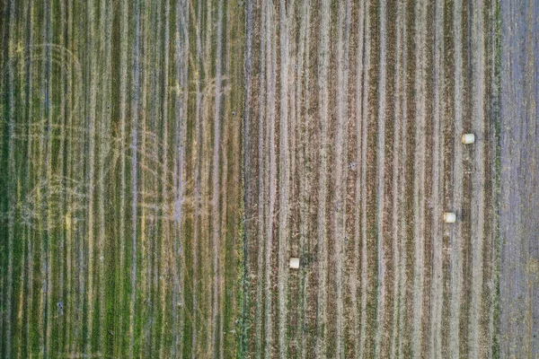 Drone Vista Ângulo Alto Fardos Palha Campo Torno Pequena Aldeia — Fotografia de Stock