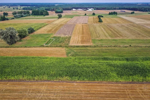 Drone Veduta Aerea Dei Campi Nel Piccolo Villaggio Jaczew Gmina — Foto Stock