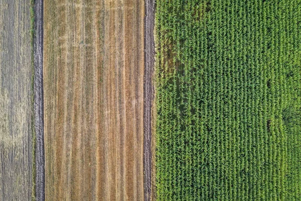 Drone Foto Campos Gmina Korytnica Província Mazovia Polônia — Fotografia de Stock