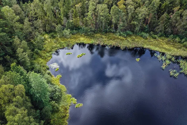 Stoborowe See Der Nähe Der Stadt Wejherowo Region Kaschubia Teil — Stockfoto