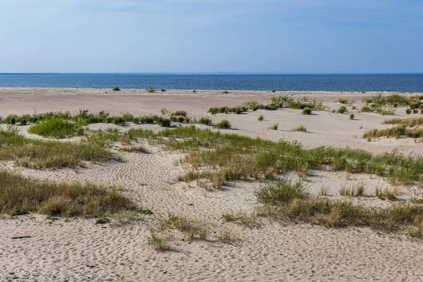 Praia Reserva Natural Para Aves Chamada Mewia Lacha Ilha Sobieszewo — Fotografia de Stock