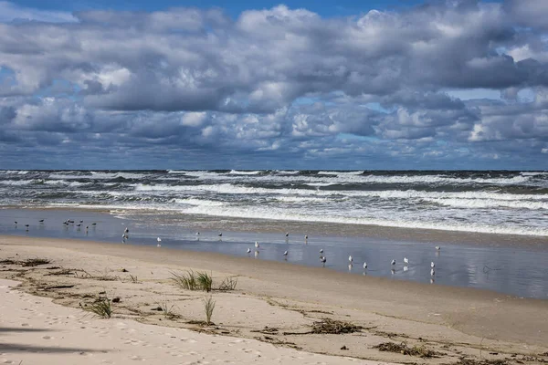 Östersjön Stranden Vistula Spit Mellan Vistula Lagoon Och Bay Gdansk — Stockfoto