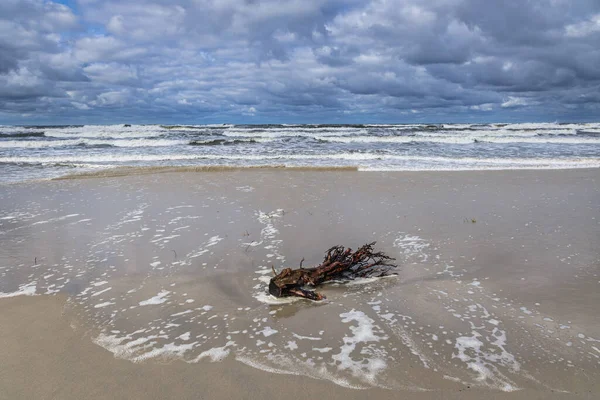 Playa Del Mar Báltico Vístula Escupir Entre Laguna Del Vístula — Foto de Stock