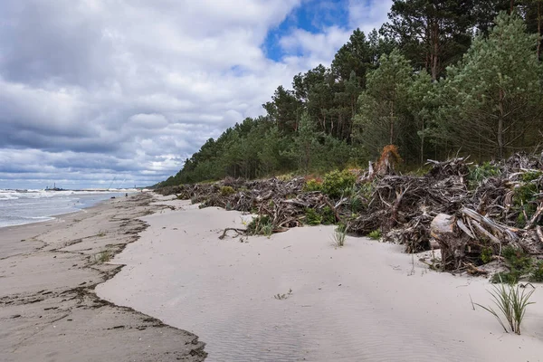 Παραλία Της Βαλτικής Θάλασσας Στο Vistula Spit Μεταξύ Της Λιμνοθάλασσας — Φωτογραφία Αρχείου