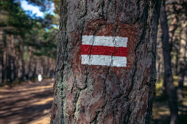 Painted Symbol Tourist Trail Sarbsko Spit Landscape Park Baltic Sea — Stock Photo, Image