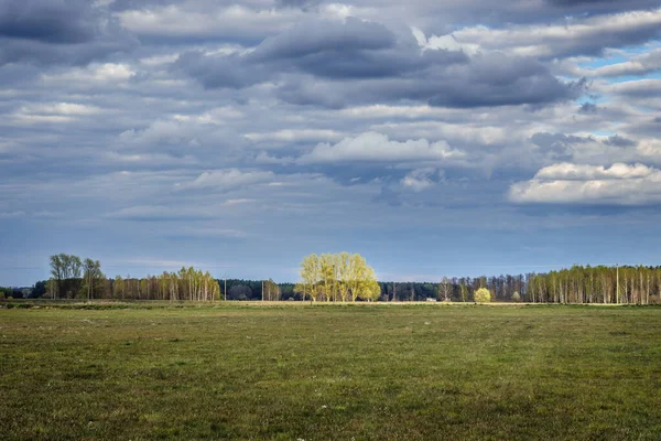 Nubes Sobre Prado Mazowsze Región Polonia — Foto de Stock