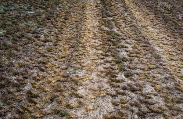 Prairie Sèche Dans Région Mazowsze Pologne — Photo