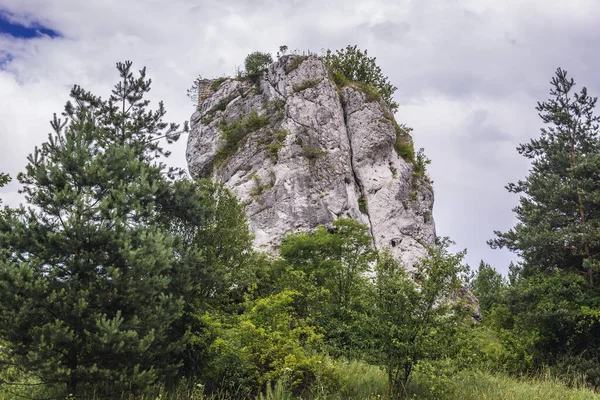 Torre Vigia Arruinada Rocha Arenito Planalto Jurássico Polaco Região Silésia — Fotografia de Stock