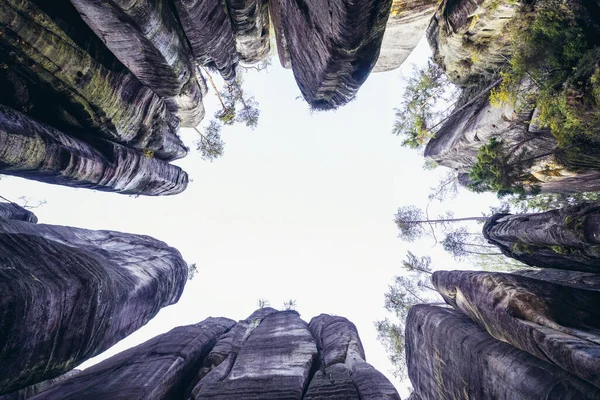 Adrspacher Felsen Teil Des Landschaftsparks Adrspach Teplice Broumov Gebirge Der — Stockfoto