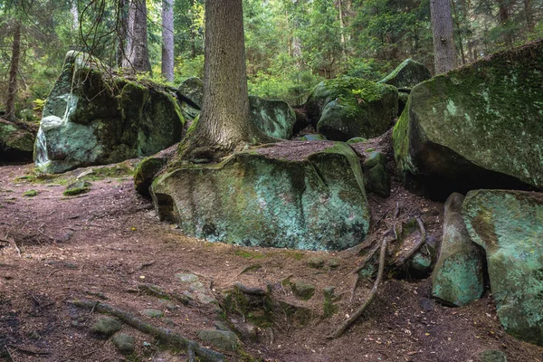 Teplice Rocks森林 捷克共和国Broumov高地Adrspach Teplice景观公园的一部分 — 图库照片