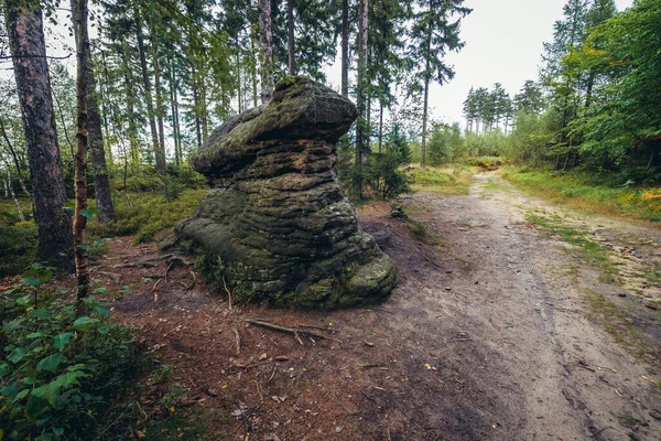 Forest path in Broumov Walls mountain range in Czech Republic