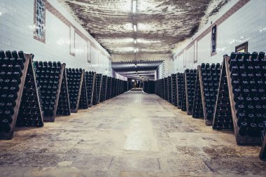 Cricova, Moldova - July 16, 2019: Wine bottles during riddling process in wine cellars of Cricova winery in a town with the same name clipart