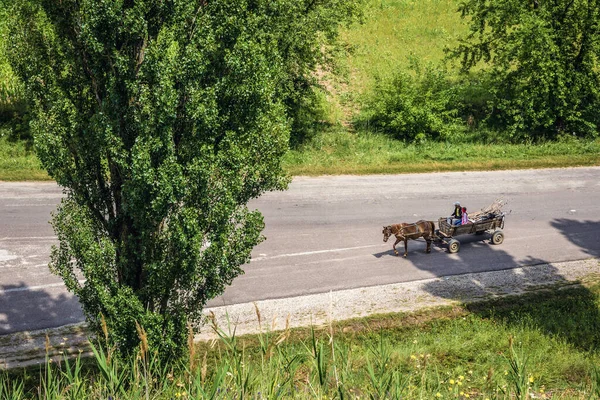 Suta Movile Μολδαβία Ιουλίου 2019 Άλογο Άμαξα Στο Suta Movile — Φωτογραφία Αρχείου