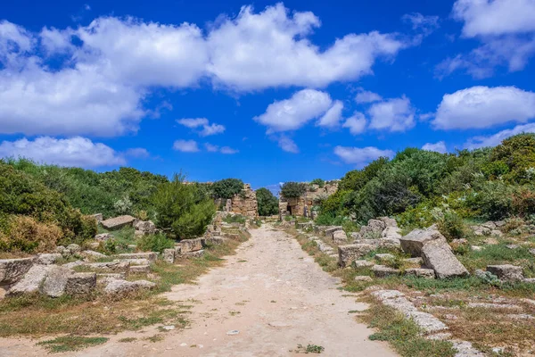 Camino Entre Ruinas Acrópolis Selinunte Antigua Ciudad Isla Sicilia Italia —  Fotos de Stock