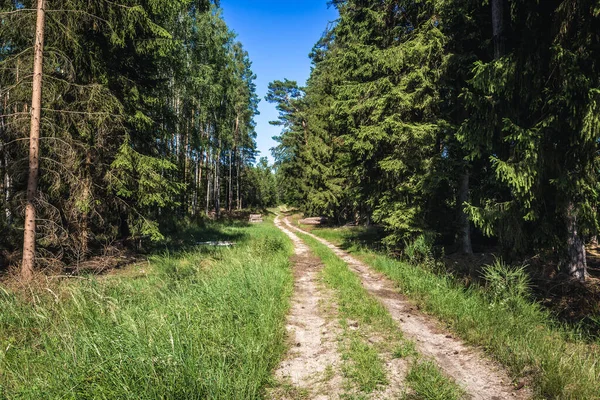 Route Dans Forêt Près Village Berkanowo Région Poméranie Occidentale Pologne — Photo