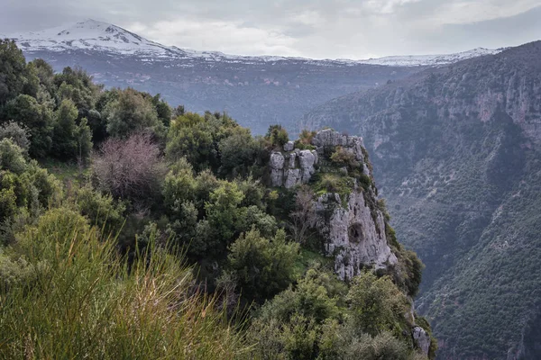 Vista Sulla Valle Kadisha Scritto Anche Come Qadisha Libano — Foto Stock