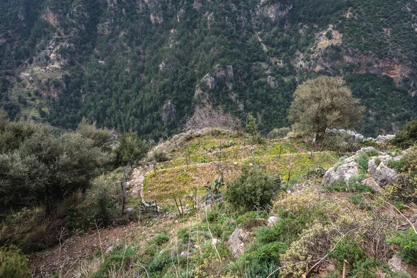 霍卡夫人修道院的花园 现在卡迪沙山谷的一个隐居所也拼写成了黎巴嫩的卡迪沙 — 图库照片