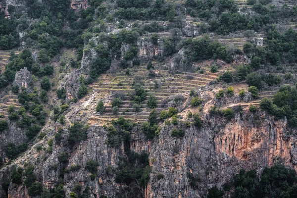Rocks Orchard Terraces Kadisha Valley Also Spelled Qadisha Lebanon — Stock Photo, Image