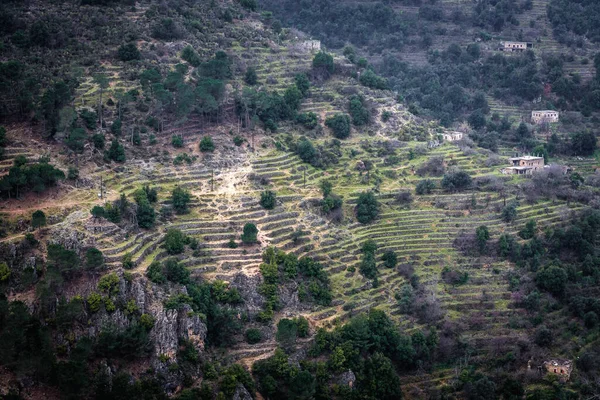 Kadisha Vadisi Ndeki Qannoubine Manastırı Nın Havadan Görünüşü Lübnan Daki — Stok fotoğraf
