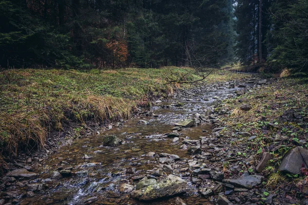 捷克共和国Moravian Silesian Beskids山脉Bila Ostravice河 Bila村风景 — 图库照片