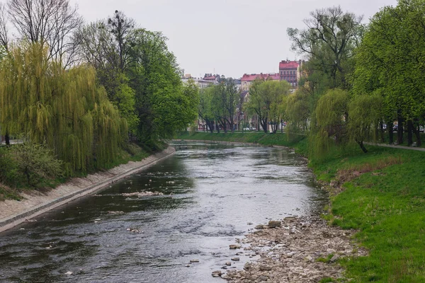 Uitzicht Rivier Olsa Scheidt Cesky Tesin Stad Tsjechië Cieszyn Stad — Stockfoto