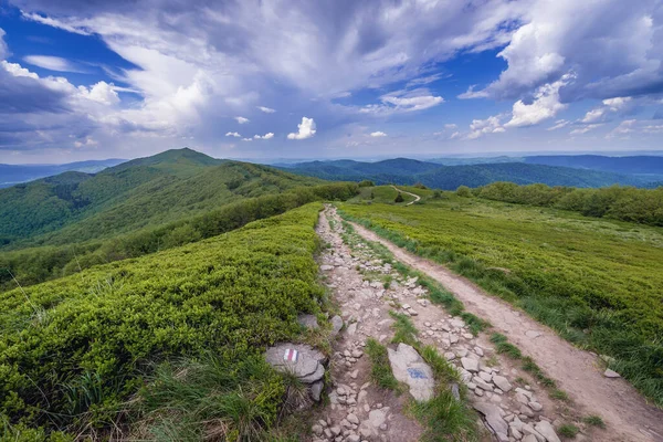 Sendero Desde Paso Montaña Orlowicz Hasta Montaña Smerek Parque Nacional — Foto de Stock