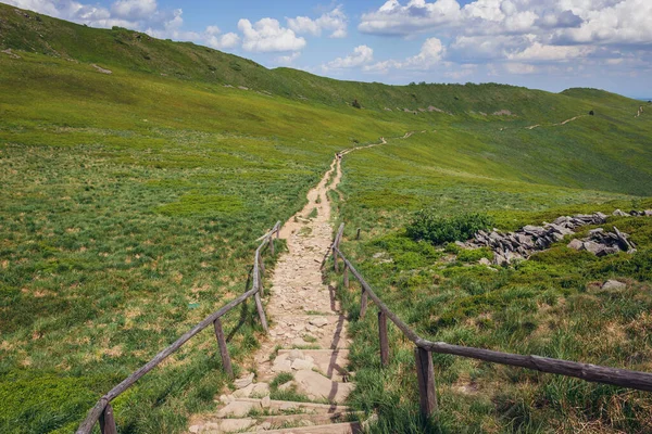 Treppen Auf Einem Wetlina Wanderweg Der Nähe Des Berges Osadzki — Stockfoto