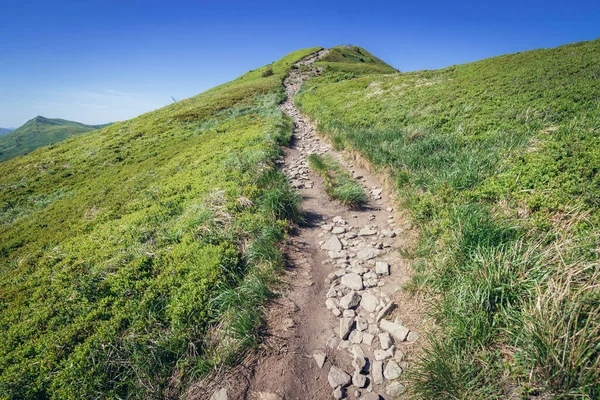 Sendero Hking Monte Halicz Parque Nacional Bieszczady Voivodato Subcarpático Polonia — Foto de Stock