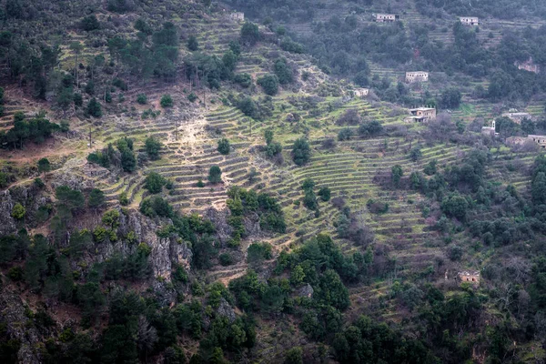 Kadisha Vadisi Ndeki Qannoubine Manastırı Nın Havadan Görünüşü Lübnan Daki — Stok fotoğraf
