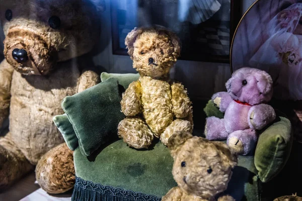 Torun Polen Februar 2019 Alter Teddybär Kleinen Privaten Museum Toys — Stockfoto