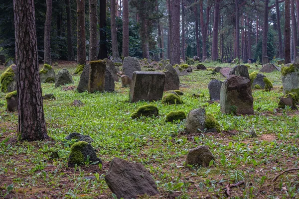 Kruszyniany Polonya Ağustos 2018 Kruszyniany Deki Mezarlık Öncelikli Olarak Podlasie — Stok fotoğraf