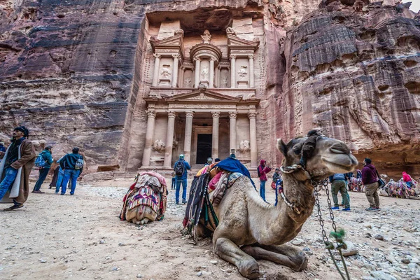 Petra Jordanien Dezember 2018 Kamel Vor Dem Khazneh Tempel Der — Stockfoto