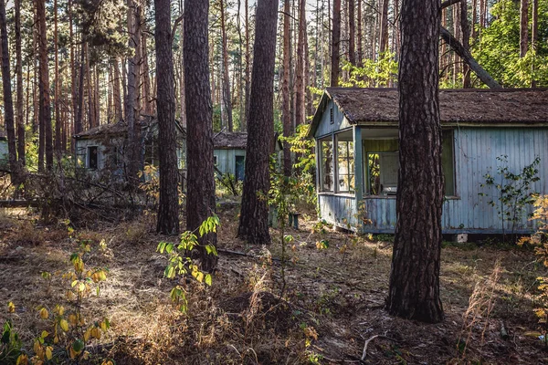 Casas Madeira Emerald Abandonado Base Recreação Zona Exclusão Chernobyl Ucrânia — Fotografia de Stock