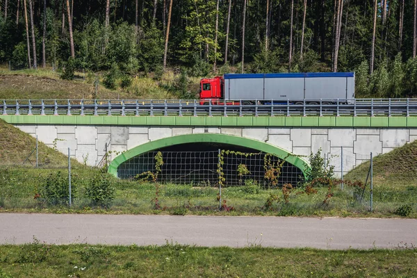 Olsztyn Polsko Srpna 2017 Náklaďák Křižovatce Divoké Zvěře Pod Číslem — Stock fotografie