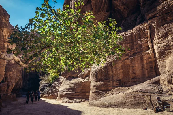 Petra Jordânia Dezembro 2018 Petra Cidade Histórica Arqueológica Sul Jordânia — Fotografia de Stock