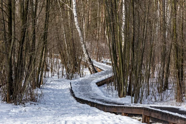 Toeristisch Houten Pad Nationaal Park Kampinos Buurt Van Warschau Hoofdstad — Stockfoto