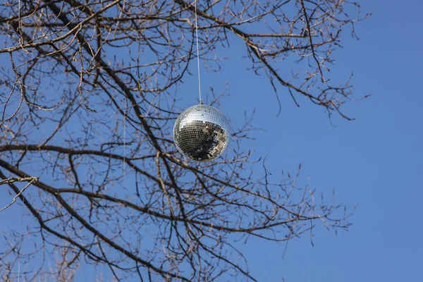 Λαμπερή Ντίσκο Μπάλα Κρεμασμένη Ένα Δέντρο — Φωτογραφία Αρχείου