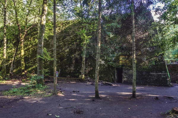 Gierloz Polen Augustus 2017 Bunker Martin Bormann Wilczy Szaniec Wolfs — Stockfoto